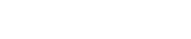 Item 8